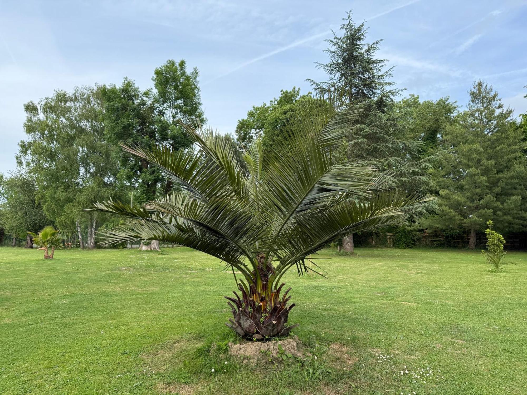Appartement Familial Au Bord De La Marne, Jardin 8000M2, Piscine, Court De Tennis, Terrasse, Parking Gratuit Proche Disneyland Isles-les-Villenoy Exterior photo